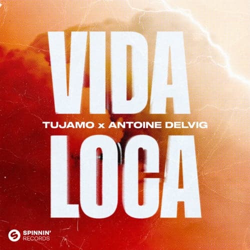 Vida Loca (Extended Mix)